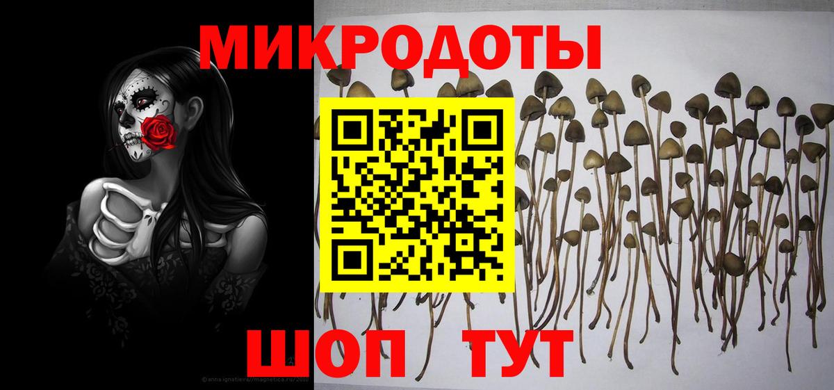 Псилоцибиновые грибы Cubensis Нижнекамск