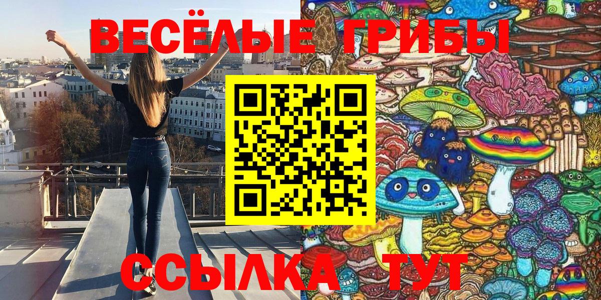 Нижнекамск  Псилоцибиновые грибы Cubensis  Вход с VPN 